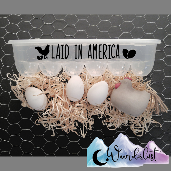Laid In America Reusable Egg Carton Kitchen Decor
